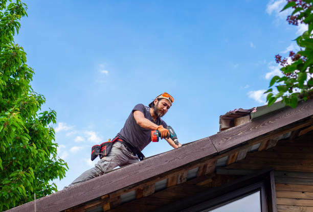 Best Commercial Roofing Services  in Saint Johns University, MN